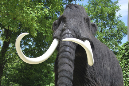 Mammut - ein Tier der Urgeschichte